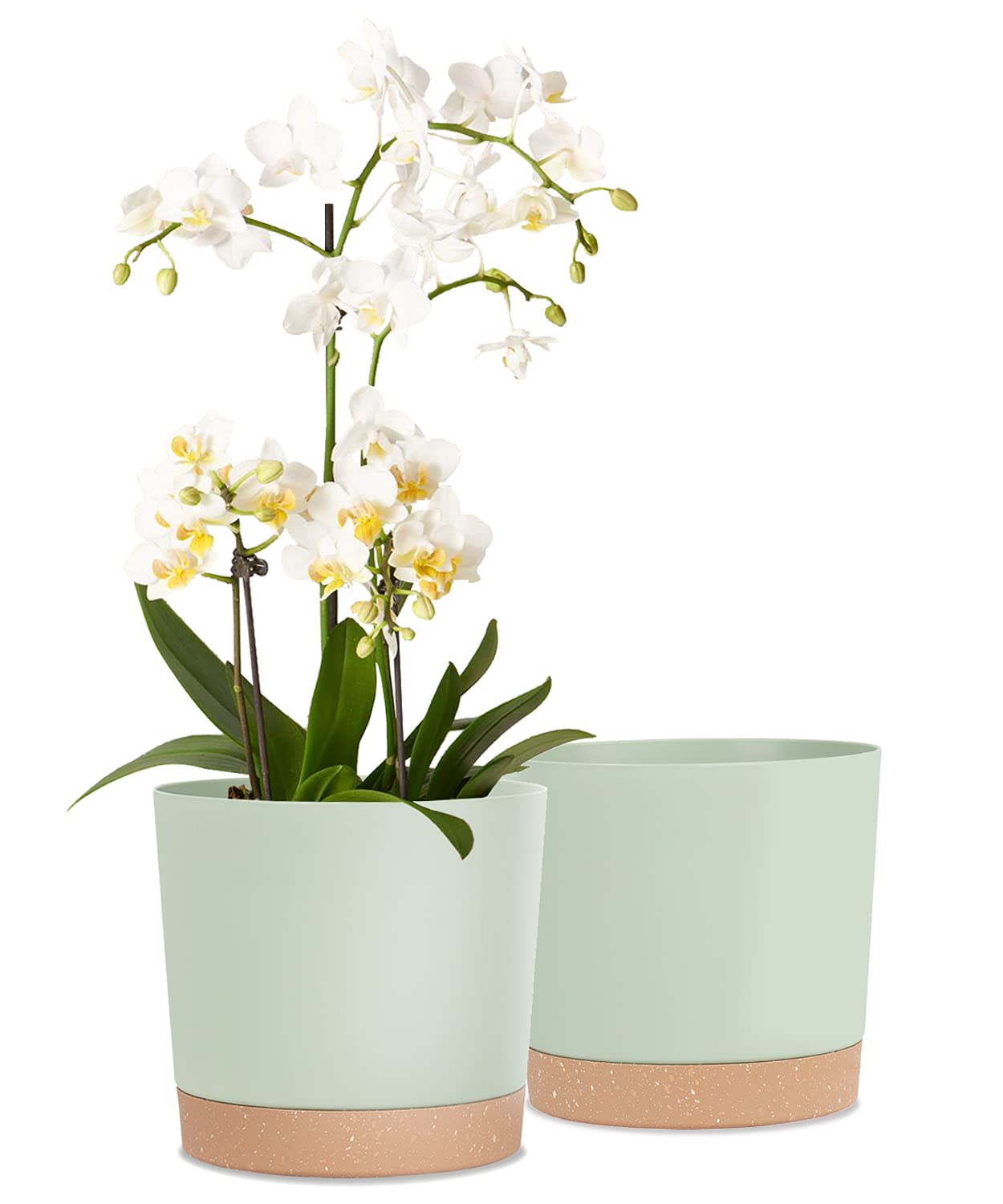kubvici 2 Pack 8 Inch Planters for Indoor Plants, Plastic Flower Pots Plant Pots Indoor with Drainage Saucer for Outdoor Garden Home Plant, White 8”
