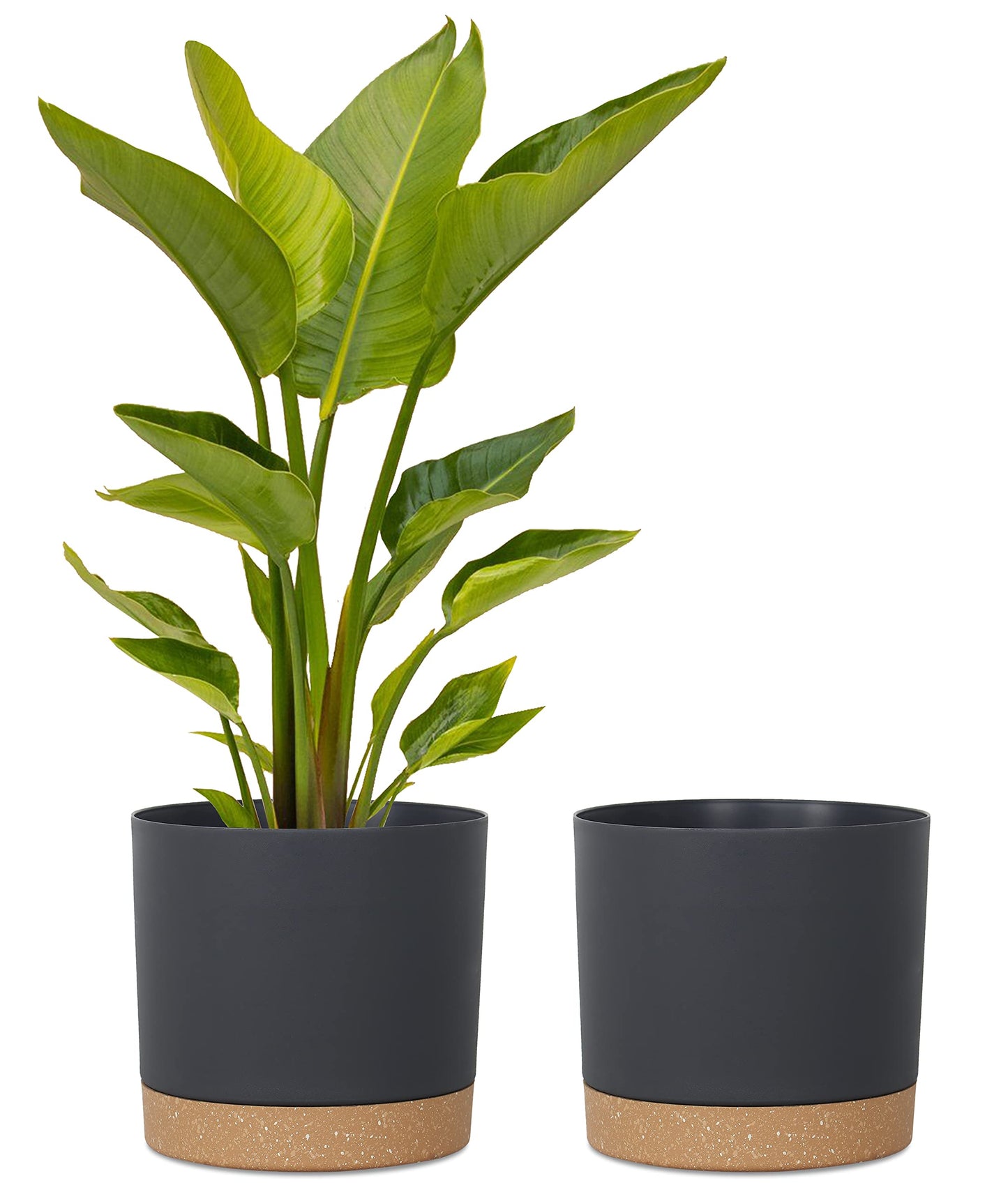 kubvici 2 Pack 8 Inch Planters for Indoor Plants, Plastic Flower Pots Plant Pots Indoor with Drainage Saucer for Outdoor Garden Home Plant, White 8”