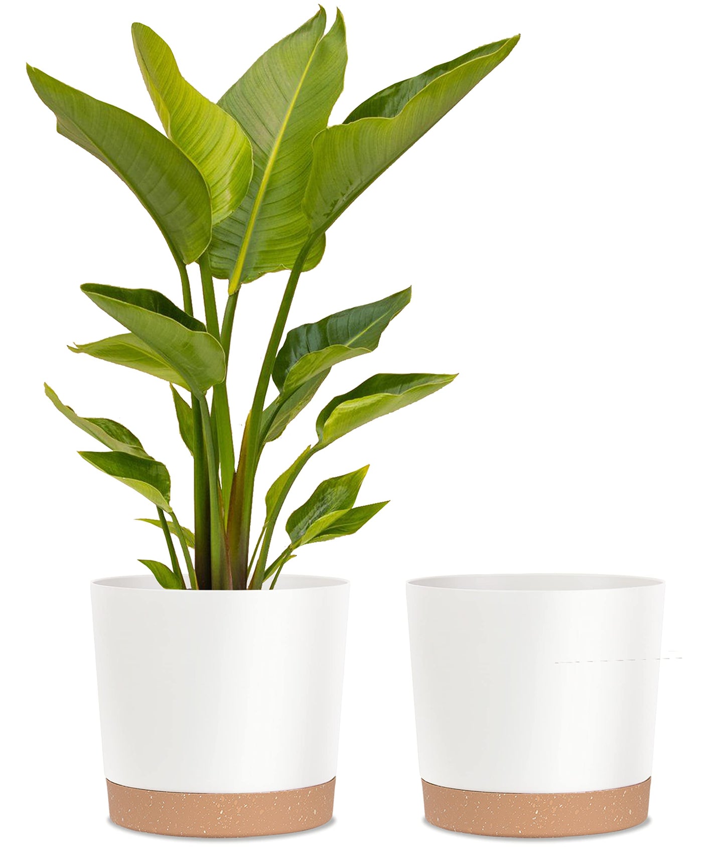 kubvici 2 Pack 8 Inch Planters for Indoor Plants, Plastic Flower Pots Plant Pots Indoor with Drainage Saucer for Outdoor Garden Home Plant, White 8”