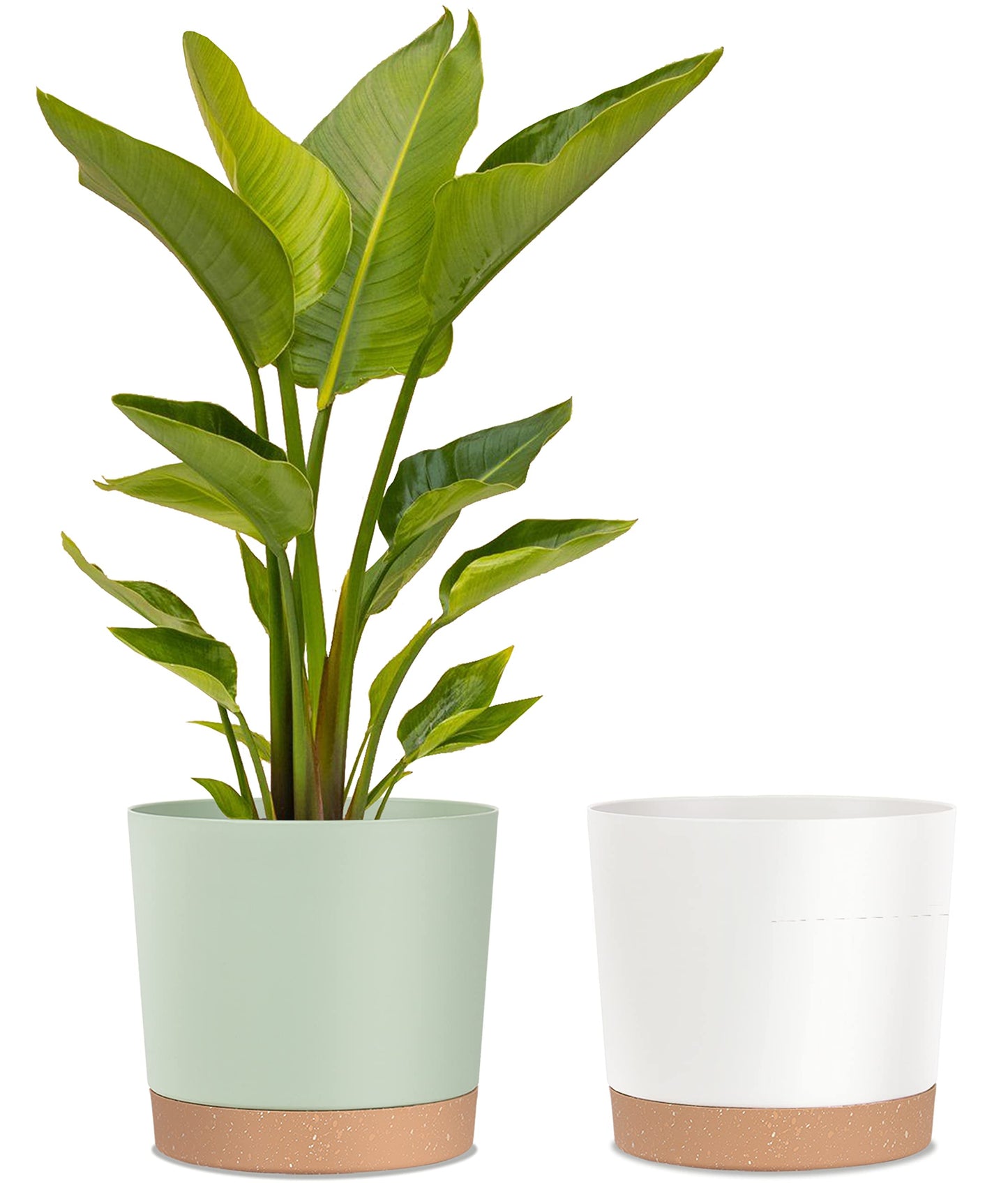 kubvici 2 Pack 8 Inch Planters for Indoor Plants, Plastic Flower Pots Plant Pots Indoor with Drainage Saucer for Outdoor Garden Home Plant, White 8”